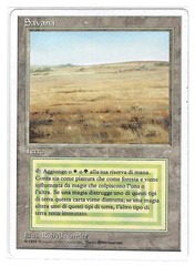 Savannah - Italian (#553)